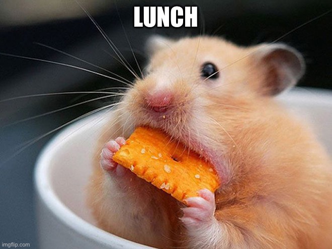 lunch | LUNCH | image tagged in lunch | made w/ Imgflip meme maker