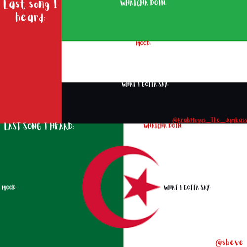 ARAB AND SBEVE SHARED tEMP Blank Meme Template