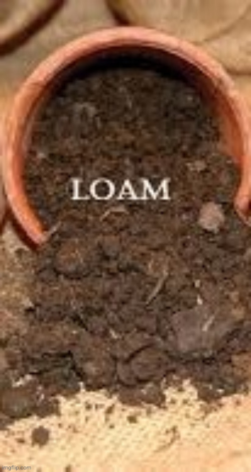 LOAM | image tagged in loam | made w/ Imgflip meme maker