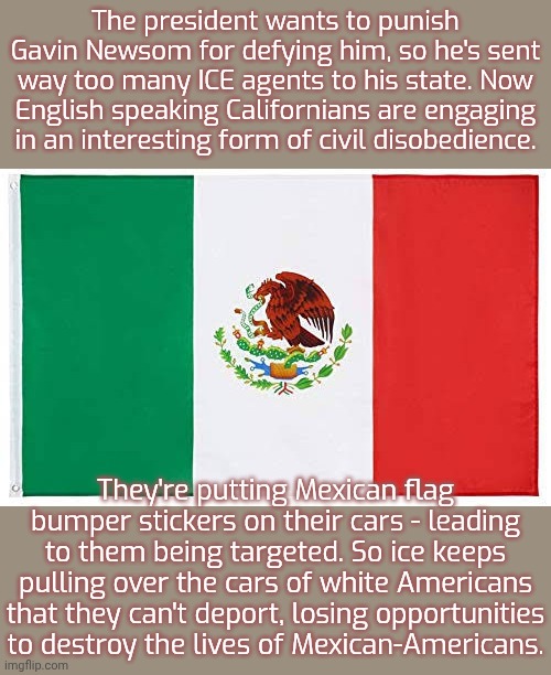 Misdirection for a good cause | The president wants to punish Gavin Newsom for defying him, so he's sent way too many ICE agents to his state. Now English speaking Californians are engaging in an interesting form of civil disobedience. They're putting Mexican flag bumper stickers on their cars - leading to them being targeted. So ice keeps pulling over the cars of white Americans that they can't deport, losing opportunities to destroy the lives of Mexican-Americans. | image tagged in mexican flag,frustrated,fascists,mad karma,distraction,trump immigration policy | made w/ Imgflip meme maker