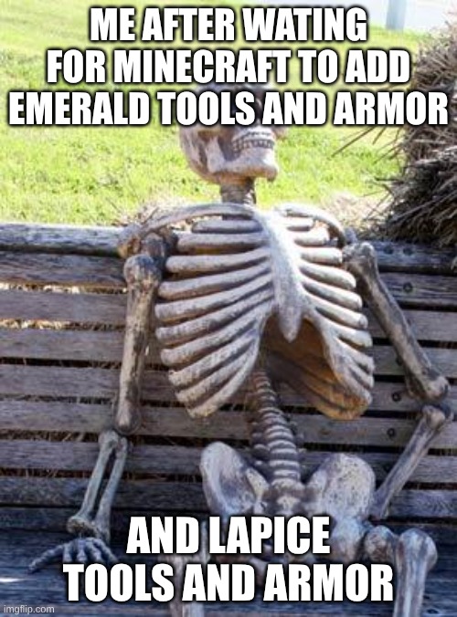 minecraft | ME AFTER WATING FOR MINECRAFT TO ADD EMERALD TOOLS AND ARMOR; AND LAPICE TOOLS AND ARMOR | image tagged in memes,waiting skeleton | made w/ Imgflip meme maker
