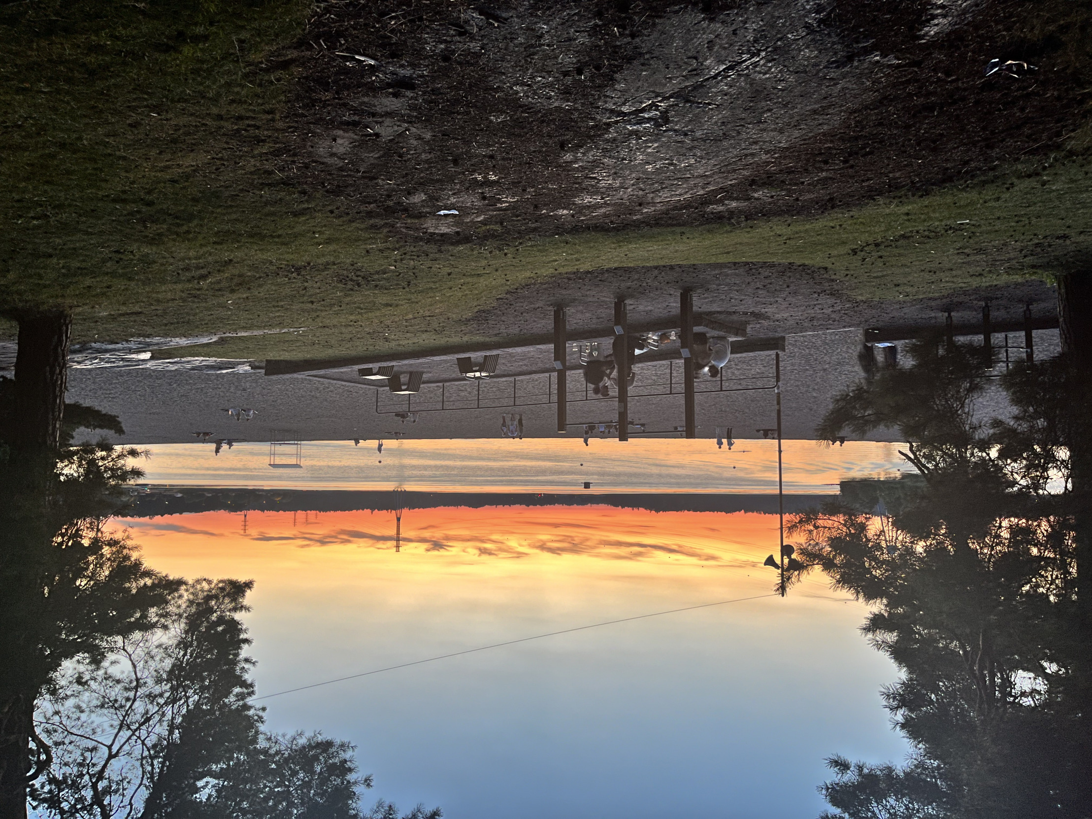 Daniel ja khadra Blank Meme Template