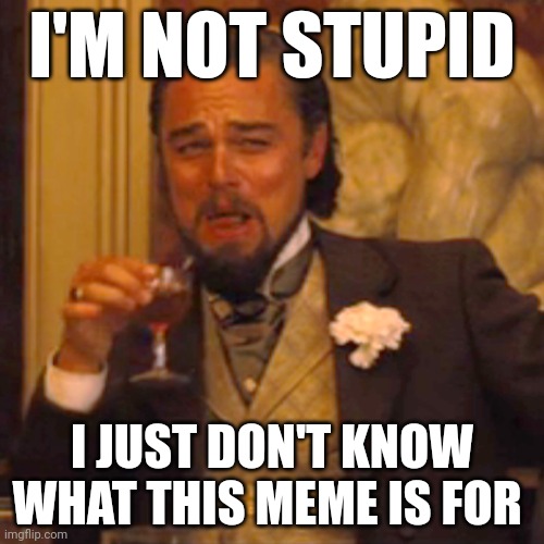 Laughing Leo | I'M NOT STUPID; I JUST DON'T KNOW WHAT THIS MEME IS FOR | image tagged in memes,laughing leo | made w/ Imgflip meme maker