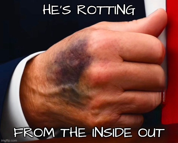 Rotten to the core | HE'S ROTTING; FROM THE INSIDE OUT | image tagged in trump,gop,maga,nazi,fascist,rotting | made w/ Imgflip meme maker