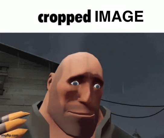 Cropped nsfw | IMAGE | image tagged in cropped nsfw | made w/ Imgflip meme maker