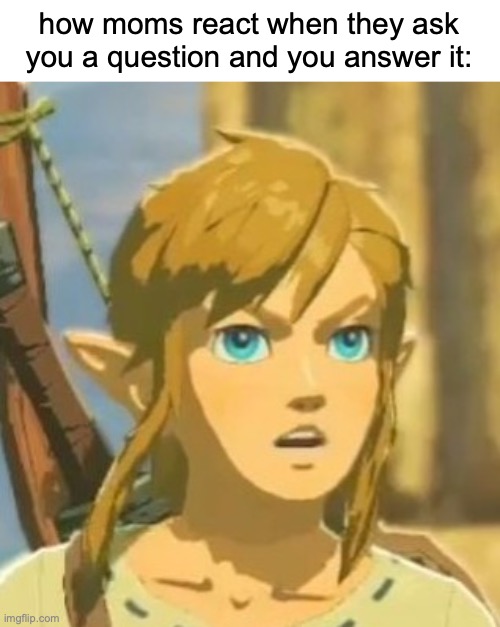 "hOw dAre You TaLk BaCK tO mE" | how moms react when they ask you a question and you answer it: | image tagged in memes,offended link,funny,zelda,moms,talking back | made w/ Imgflip meme maker