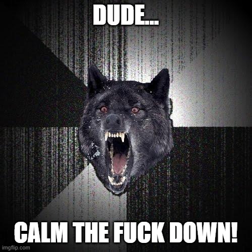 DUDE... CALM THE FUCK DOWN! | image tagged in memes,insanity wolf | made w/ Imgflip meme maker