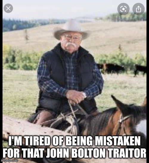 tell John Bolton to eat his damn oatmeal | I'M TIRED OF BEING MISTAKEN FOR THAT JOHN BOLTON TRAITOR | image tagged in wilfred brimley,oatmeal,bolton,mustache | made w/ Imgflip meme maker