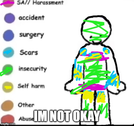 Make your own | IM NOT OKAY | image tagged in make your own | made w/ Imgflip meme maker