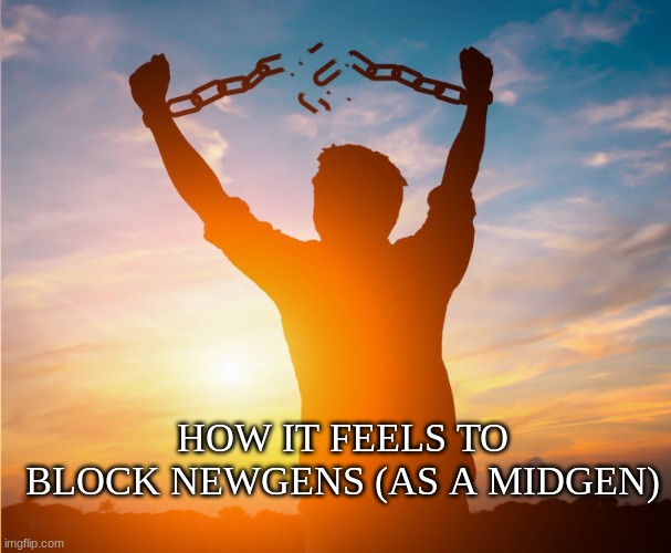 why do they all js repeat what you say omfg | HOW IT FEELS TO BLOCK NEWGENS (AS A MIDGEN) | image tagged in man breaking free from chains over the sunset | made w/ Imgflip meme maker