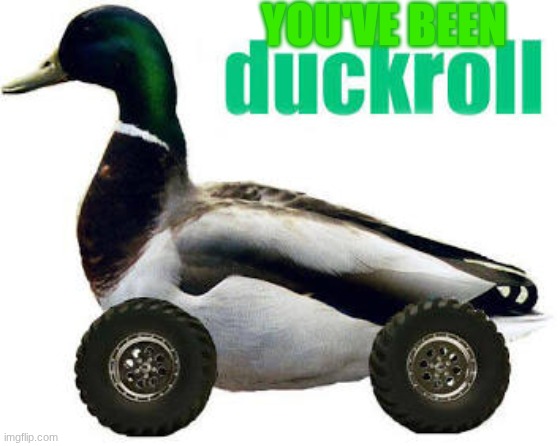 YOU'VE BEEN | image tagged in duckroll | made w/ Imgflip meme maker