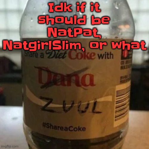 Maybe Gnat | Idk if it should be NatPat, NatgirlSlim, or what | image tagged in there is no diet only zero | made w/ Imgflip meme maker