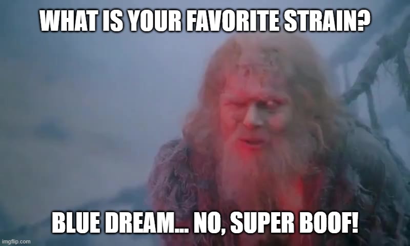 Name Your Strain | WHAT IS YOUR FAVORITE STRAIN? BLUE DREAM... NO, SUPER BOOF! | image tagged in what is your name,smoke weed everyday,i have several questions,good question,that is the question,too damn high | made w/ Imgflip meme maker
