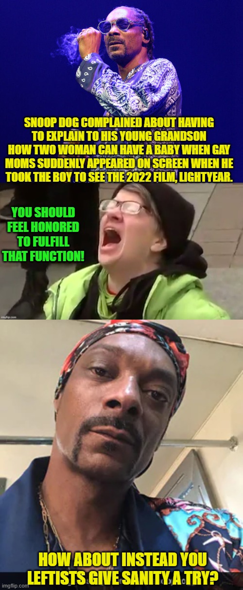 Give sanity a try leftists . . . just for a change of pace. | SNOOP DOG COMPLAINED ABOUT HAVING TO EXPLAIN TO HIS YOUNG GRANDSON HOW TWO WOMAN CAN HAVE A BABY WHEN GAY MOMS SUDDENLY APPEARED ON SCREEN WHEN HE TOOK THE BOY TO SEE THE 2022 FILM, LIGHTYEAR. YOU SHOULD FEEL HONORED TO FULFILL THAT FUNCTION! HOW ABOUT INSTEAD YOU LEFTISTS GIVE SANITY A TRY? | image tagged in yep | made w/ Imgflip meme maker