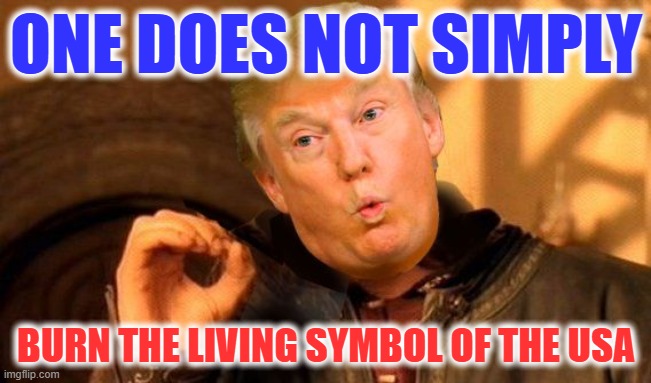 The most Sacred and Cherished Symbol of Freedom, Identity, and Strength | ONE DOES NOT SIMPLY; BURN THE LIVING SYMBOL OF THE USA | image tagged in one does not simply trump | made w/ Imgflip meme maker