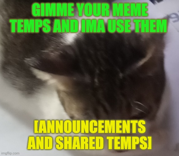 Random thingie | GIMME YOUR MEME TEMPS AND IMA USE THEM; [ANNOUNCEMENTS AND SHARED TEMPS] | image tagged in ming mong | made w/ Imgflip meme maker