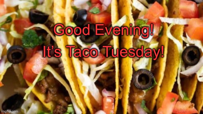 Taco Tuesday | Good Evening! It’s Taco Tuesday! | image tagged in taco tuesday | made w/ Imgflip meme maker