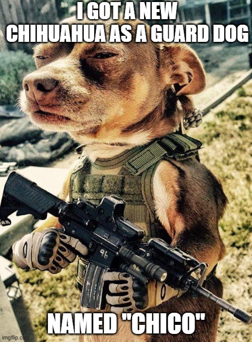 Security Contractor Dog | I GOT A NEW CHIHUAHUA AS A GUARD DOG; NAMED "CHICO" | image tagged in security contractor dog | made w/ Imgflip meme maker