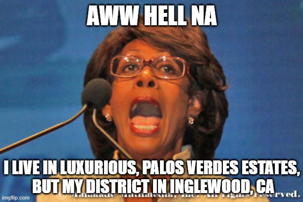 Maxine waters | AWW HELL NA I LIVE IN LUXURIOUS, PALOS VERDES ESTATES,
 BUT MY DISTRICT IN INGLEWOOD, CA | image tagged in maxine waters | made w/ Imgflip meme maker