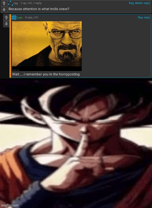 image tagged in goku hush | made w/ Imgflip meme maker