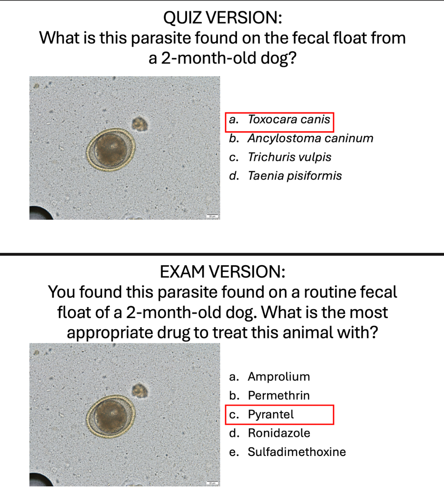 Poop test Blank Meme Template
