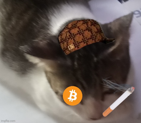 Ming mong | image tagged in ming mong | made w/ Imgflip meme maker