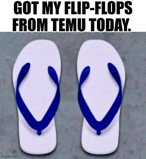 Got My Flip-Flops From Temu Today. | GOT MY FLIP-FLOPS FROM TEMU TODAY. | image tagged in chrisjoines1 | made w/ Imgflip meme maker