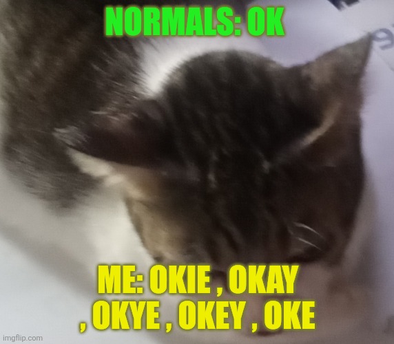 Ming mong | NORMALS: OK; ME: OKIE , OKAY , OKYE , OKEY , OKE | image tagged in ming mong | made w/ Imgflip meme maker