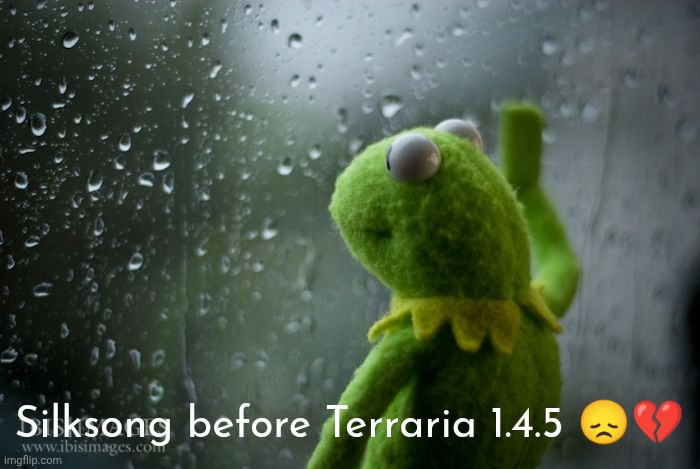 kermit window | Silksong before Terraria 1.4.5 ?? | image tagged in kermit window | made w/ Imgflip meme maker