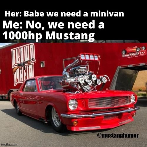 1,000 horses | image tagged in mustang | made w/ Imgflip meme maker