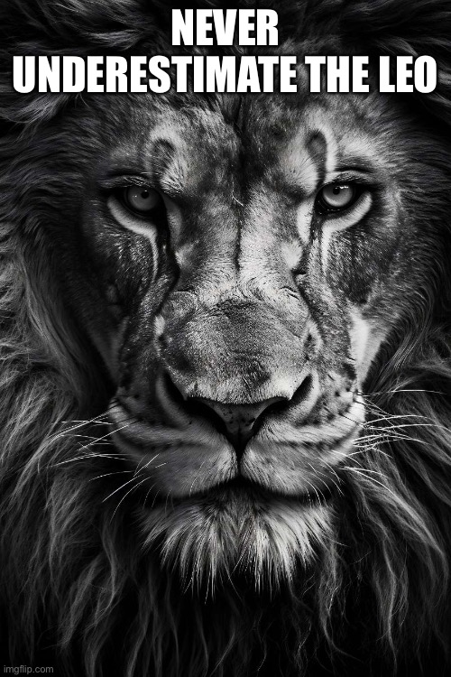 Leo | NEVER UNDERESTIMATE THE LEO | image tagged in a lion doesn t concern himseld | made w/ Imgflip meme maker