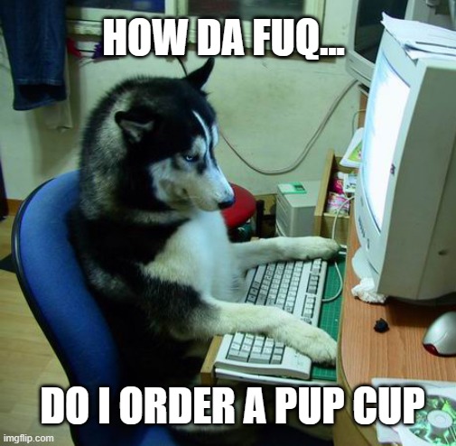 Pup Cup Fuq | HOW DA FUQ... DO I ORDER A PUP CUP | image tagged in memes,i have no idea what i am doing,bad pun dog,dafuq,dafuq girl,ice cream | made w/ Imgflip meme maker