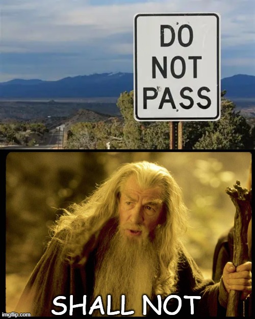 Shall Not Pass | SHALL NOT | image tagged in lord of the rings,gandalf,gandalf you shall not pass,confused gandalf | made w/ Imgflip meme maker