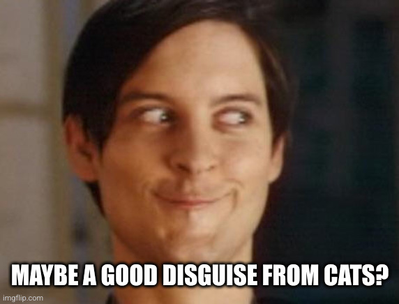 Spiderman Peter Parker Meme | MAYBE A GOOD DISGUISE FROM CATS? | image tagged in memes,spiderman peter parker | made w/ Imgflip meme maker