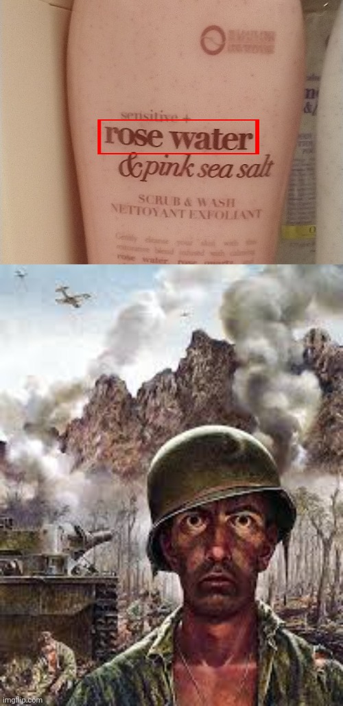 I HAVE TO POST THIS! this thing gave me PTSD because of a specific MSMG user of the same name who has done something illegal. | image tagged in thousand yard stare,rosewater,imgflip,walmart,msmg,ptsd | made w/ Imgflip meme maker