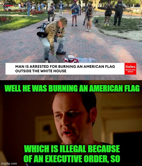 WELL HE WAS BURNING AN AMERICAN FLAG WHICH IS ILLEGAL BECAUSE OF AN EXECUTIVE ORDER, SO | image tagged in jake from state farm | made w/ Imgflip meme maker