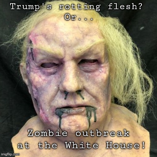 Trump is rotting away | Trump's rotting flesh? 
Or... Zombie outbreak
 at the White House! | image tagged in trump maga,stinking corpse,he's a zombie,maga brains are so small | made w/ Imgflip meme maker