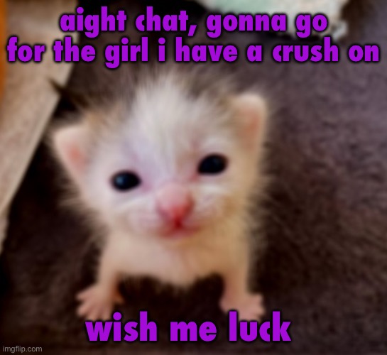 Silly goober :3 | aight chat, gonna go for the girl i have a crush on; wish me luck | image tagged in silly goober 3 | made w/ Imgflip meme maker