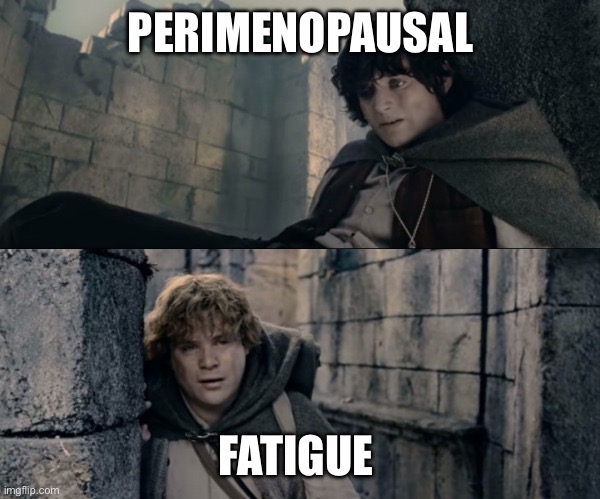 Perimenopause’s LOTR | PERIMENOPAUSAL; FATIGUE | image tagged in i can't do this sam lotr | made w/ Imgflip meme maker