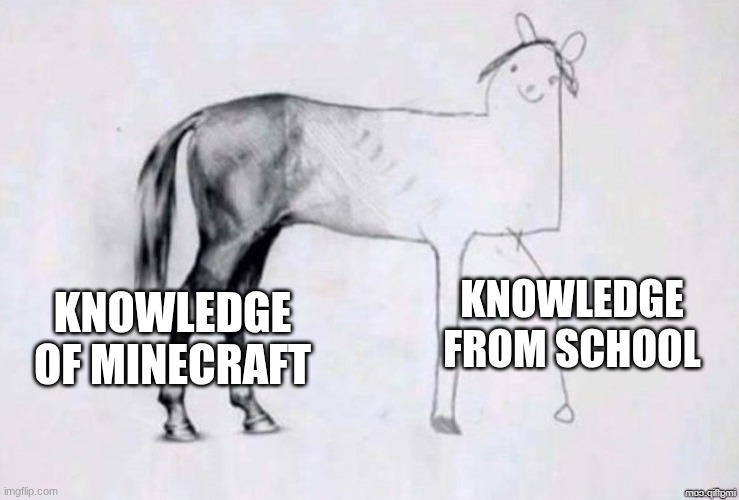 Horse Drawing | KNOWLEDGE FROM SCHOOL; KNOWLEDGE OF MINECRAFT | image tagged in horse drawing | made w/ Imgflip meme maker