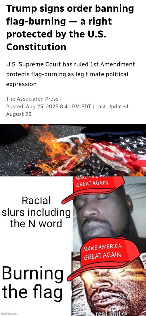 Trump is trying to ban free speech | Racial slurs including the N word; Burning the flag | image tagged in maga shaq i sleep real shit,conservative hypocrisy,free speech,american flag,tyranny,maga | made w/ Imgflip meme maker