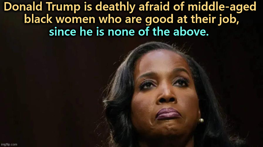 Lisa Cook | Donald Trump is deathly afraid of middle-aged 
black women who are good at their job, since he is none of the above. | image tagged in lisa cook,federal reserve,trump,afraid,black woman | made w/ Imgflip meme maker