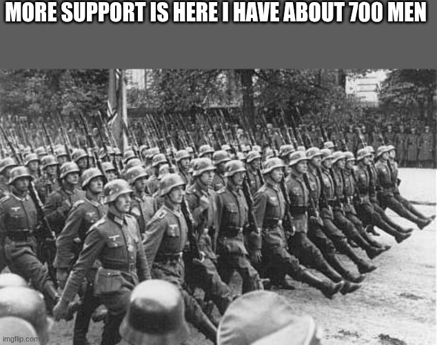 German Soldiers Marching | MORE SUPPORT IS HERE I HAVE ABOUT 700 MEN | image tagged in german soldiers marching | made w/ Imgflip meme maker