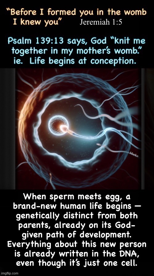 Everyone knows this — Even though they may not admit it | image tagged in memes,all life is created by god,innocent life is the most precious,sperm egg new dna new person,pro baby,we all should be | made w/ Imgflip meme maker