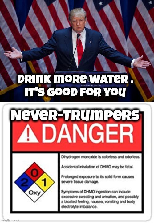 Drink more water ,
it's good for you Never-Trumpers | image tagged in donald trump,water hazard | made w/ Imgflip meme maker