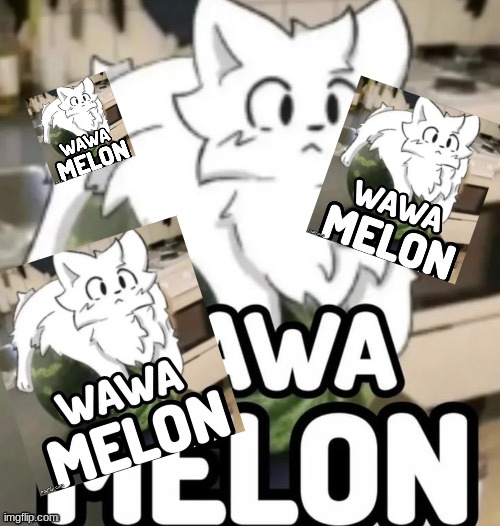 The Wawa Melon | image tagged in the wawa melon | made w/ Imgflip meme maker