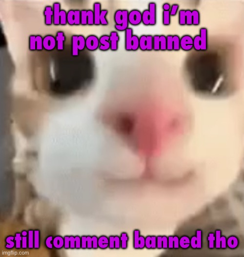 hai :3 | thank god i’m not post banned; still comment banned tho | image tagged in hai 3 | made w/ Imgflip meme maker