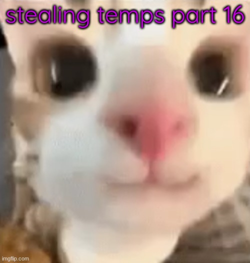 toady | stealing temps part 16 | image tagged in hai 3 | made w/ Imgflip meme maker