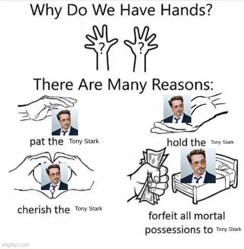 MARVEL meme | Tony Stark; Tony Stark; Tony Stark; Tony Stark | image tagged in why do we have hands all blank | made w/ Imgflip meme maker