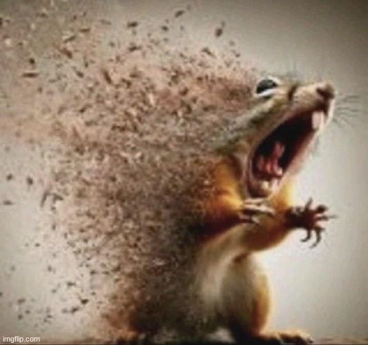 ​ | image tagged in badass squirrel disintegrating | made w/ Imgflip meme maker